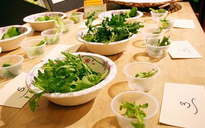 Leafy Greens Trials