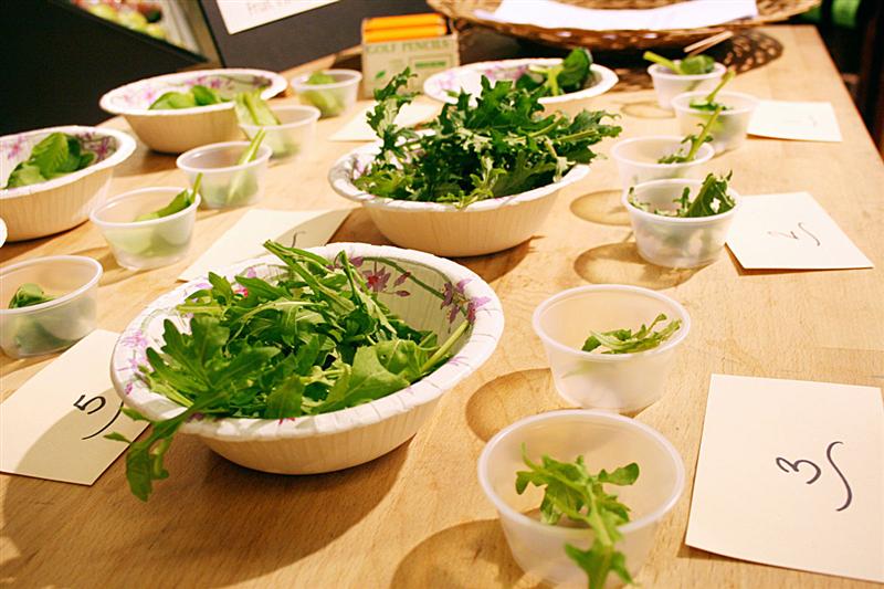 Leafy Greens Trials