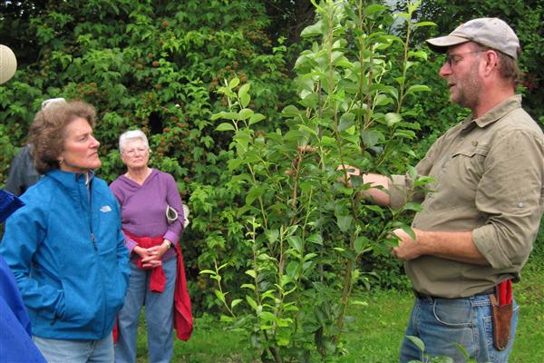 Learn to Grow Fruit Trees