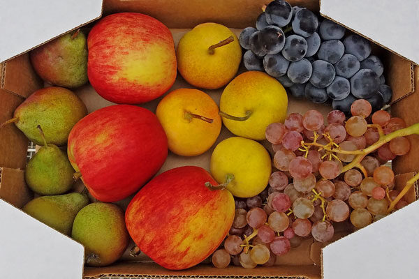 Farmers Choice Tasting Box