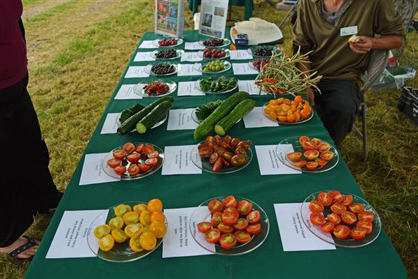 Summer Harvest Day