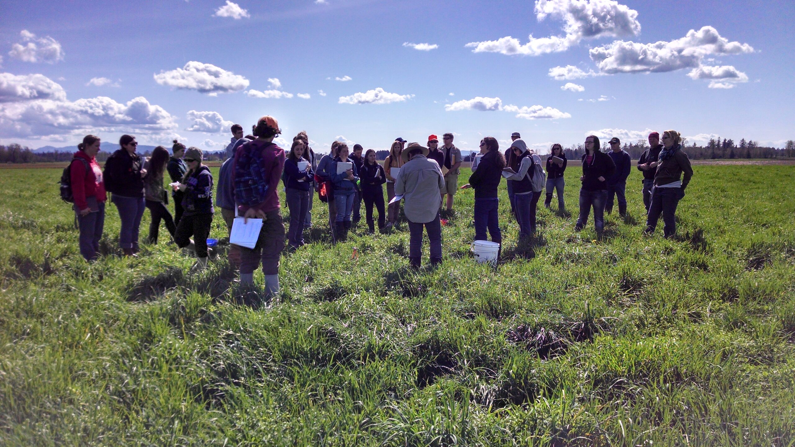 Great Grazers: Holistic Pasture Management at Edelweiss Dairy