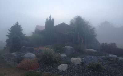 Winter Projects for the Home Gardener and Small Farmer, Part 1