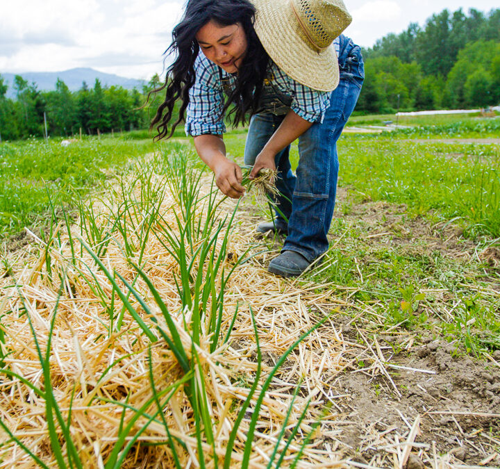 Flynn Farms Plants Seeds of Food and Community