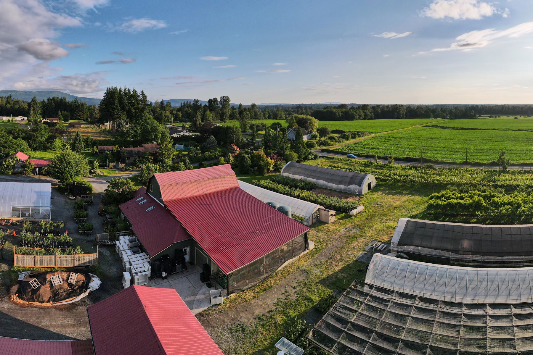 Fruit Tasting on the Farm