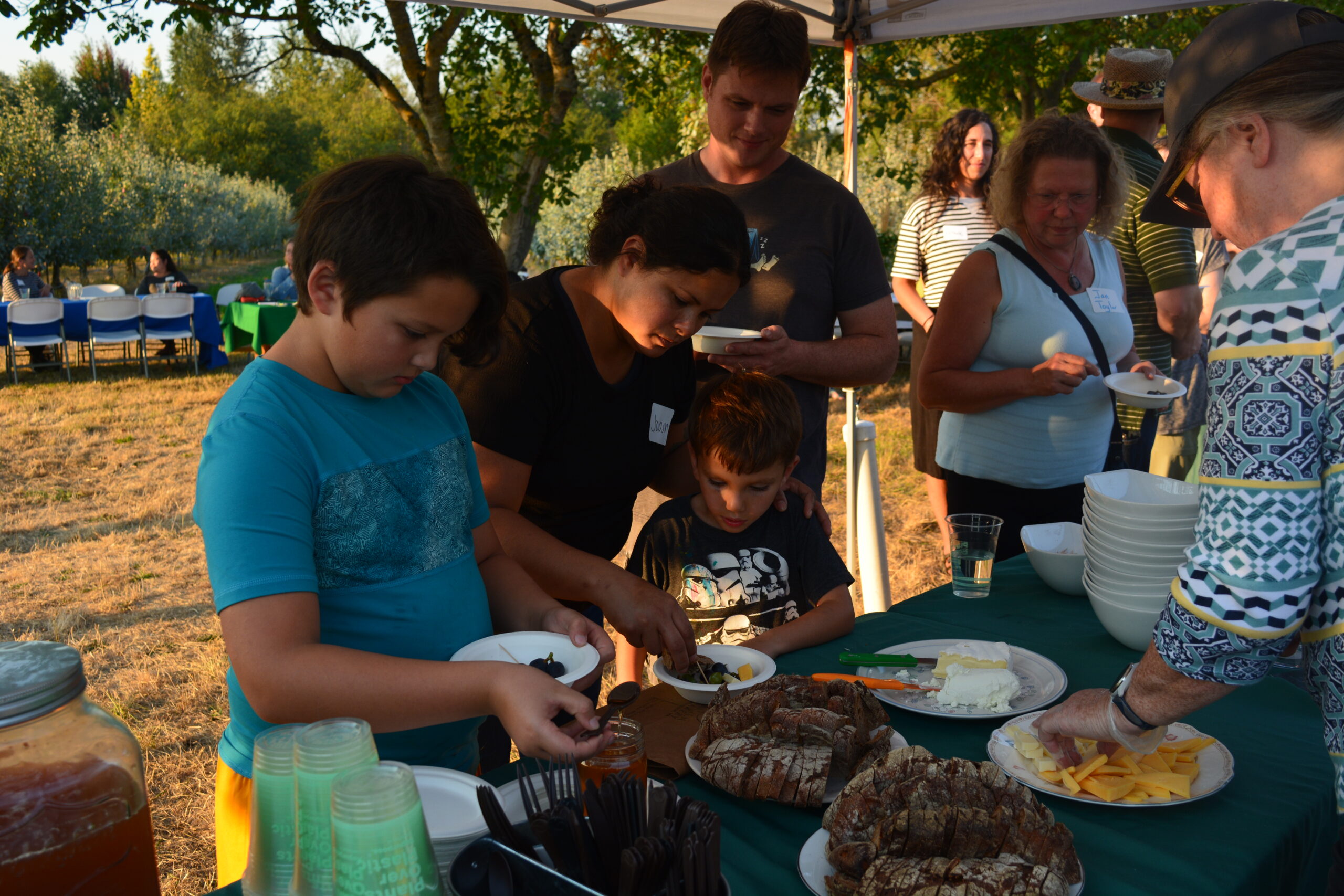 eating bread and honehy (1)