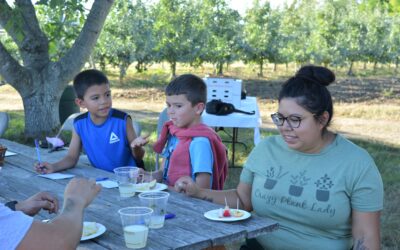 Fruit Tasting Events at Cloud Mountain