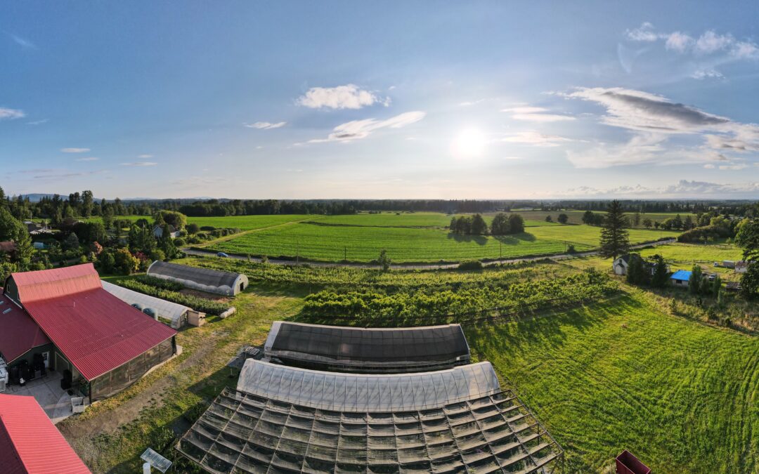 Cloud Mountain Farm Center Wins Grant to Advance Agricultural Education in Whatcom County