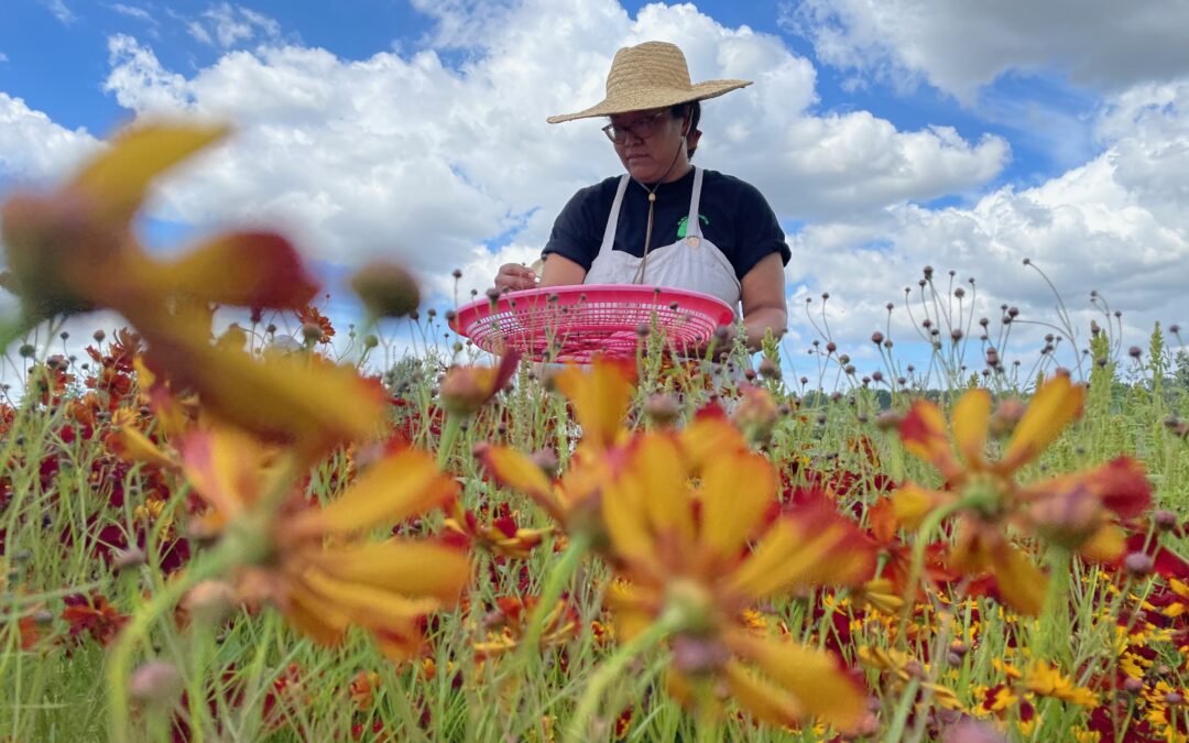 Press Release: New Farm Skill Series Opens in Whatcom County