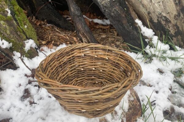 Willow Basketry