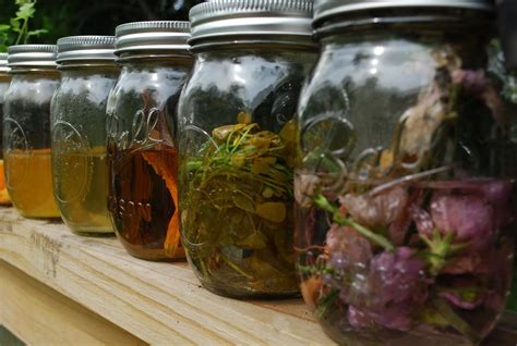 Tincture Making for Personal Use