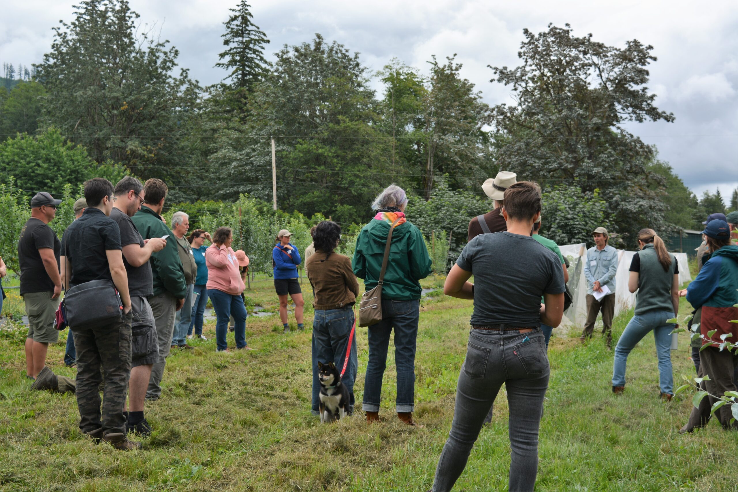 Growers’ Field Day