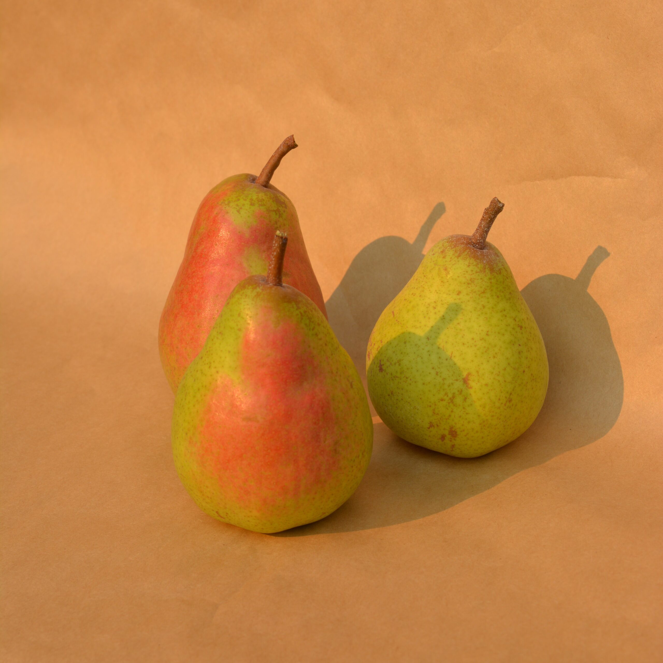 orcas_pears