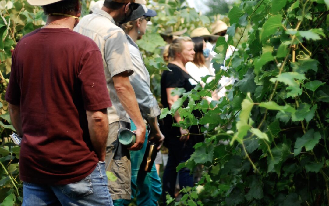 Press Release: Cloud Mountain Farm Center Hosts Field Day to Build Regional Knowledge of Orchards & Vineyards