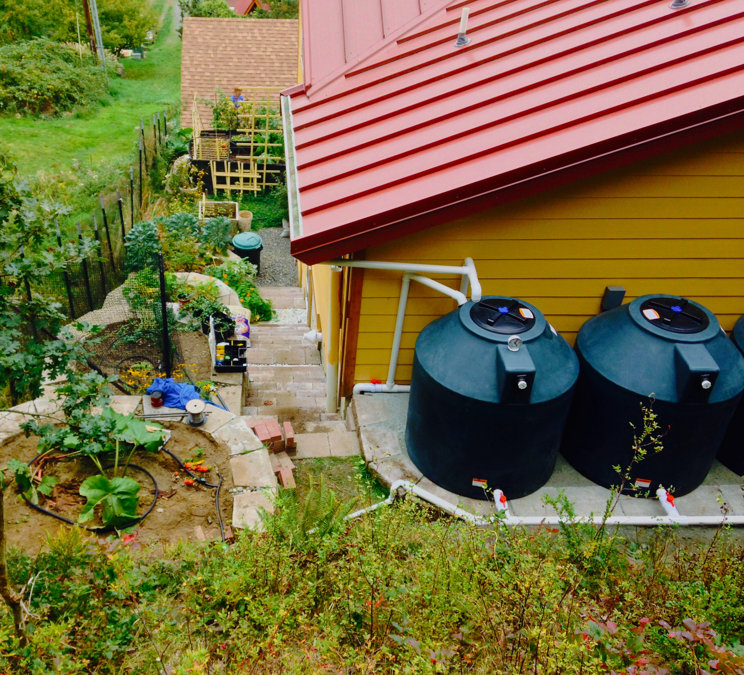 Rainwater Harvesting 101