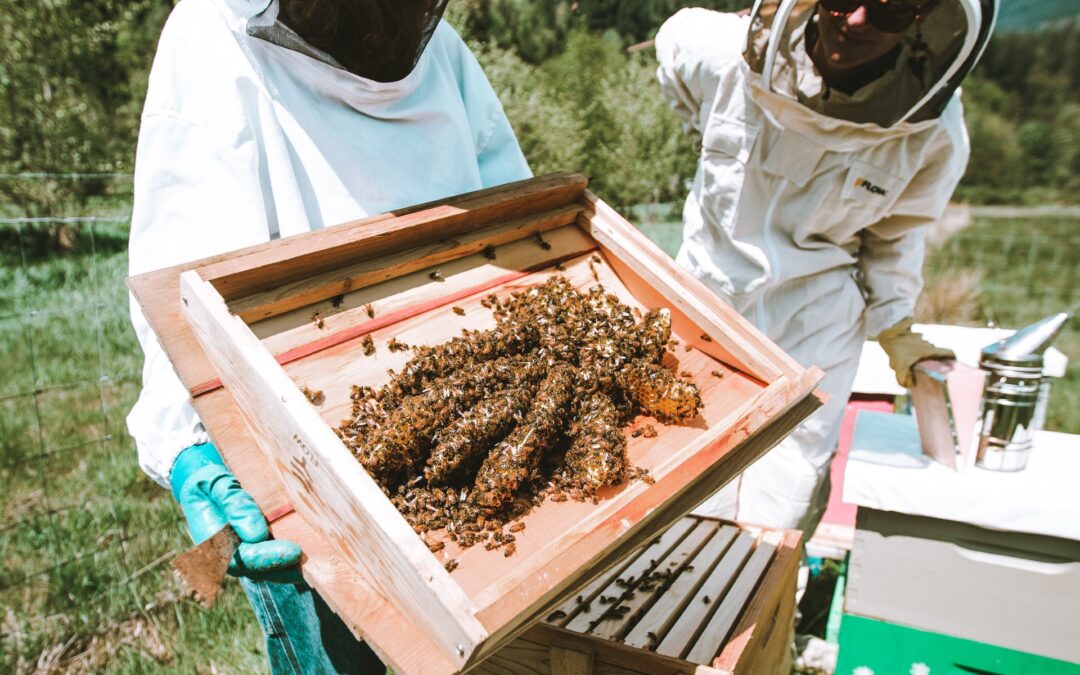 Press Release: Community Led Workshops Bring On-Farm Education to Whatcom County