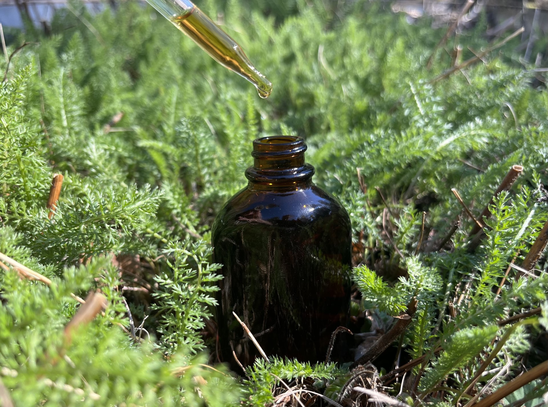 Tincture Making for Personal Use