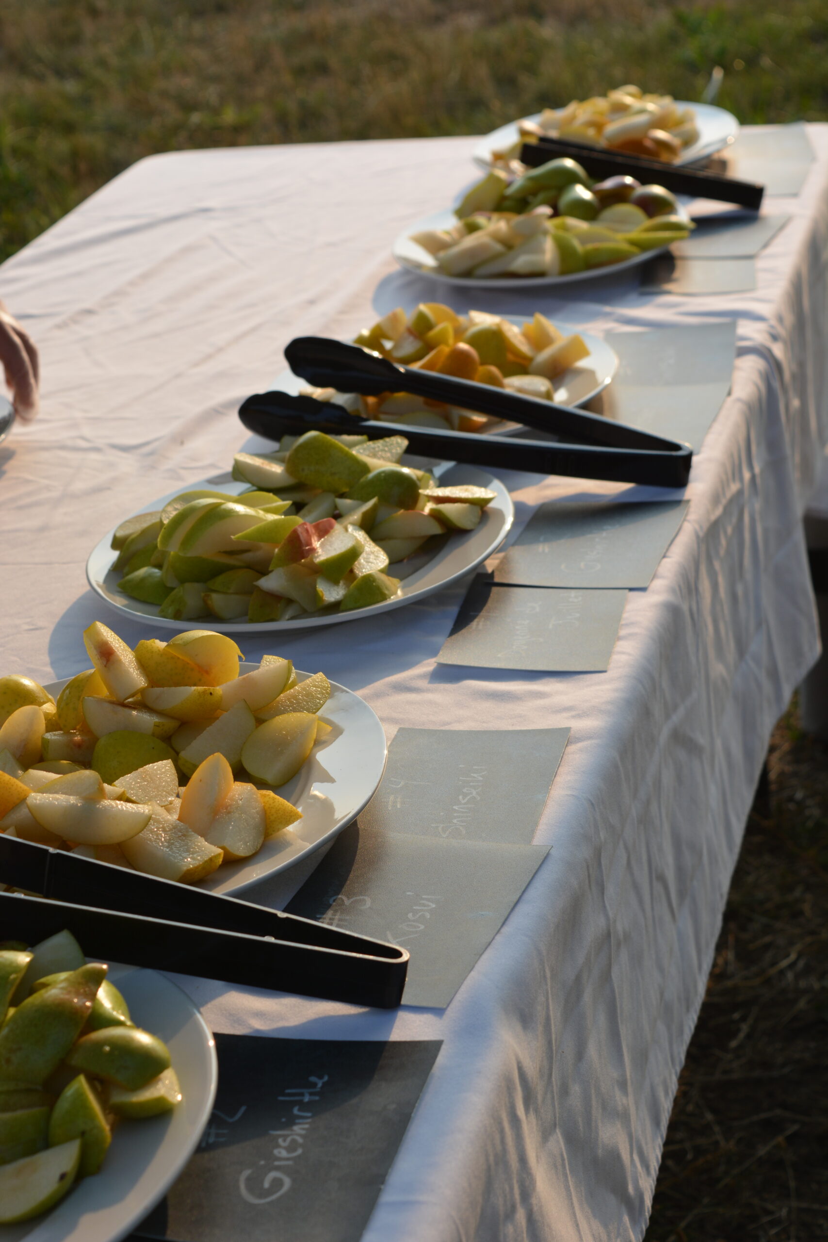 Fruit Tasting on the Farm