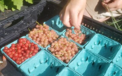Notes from the Field: Week of July 8