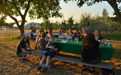 Press Release: Experience Local Fruit at Cloud Mountain Farm Center During Harvest Season
