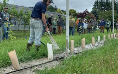 Press Release: Cloud Mountain Farm Center Wins Grant for Innovative, Sustainable Mulch Project