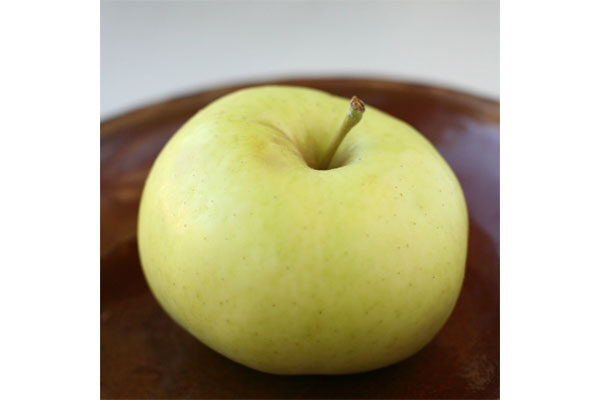 Chehalis Apple