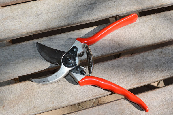 F2 Hand Pruners