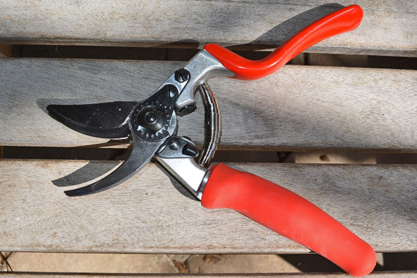 F7 Hand Pruners