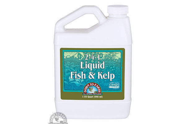 Liquid Fish & Kelp Fertilizer