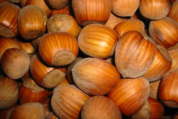 McDonald Hazelnut