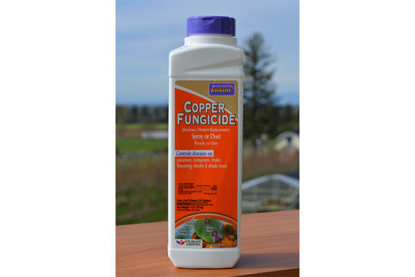 Micronized Copper