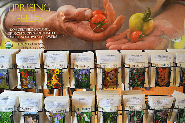 Uprising Mild Mesclun Mix